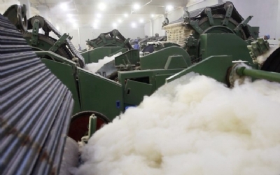 CABINET ADOPTS PROGRAM TO BOOST CASHMERE INDUSTRY