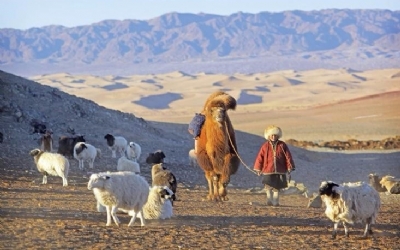 A NOMADIC LIFE IN THE GOBI DESERT